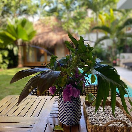 Luxury Private Villas , Private Pool, Private Garden, Jacuzzi, 24Hours Security Tulum Exteriör bild