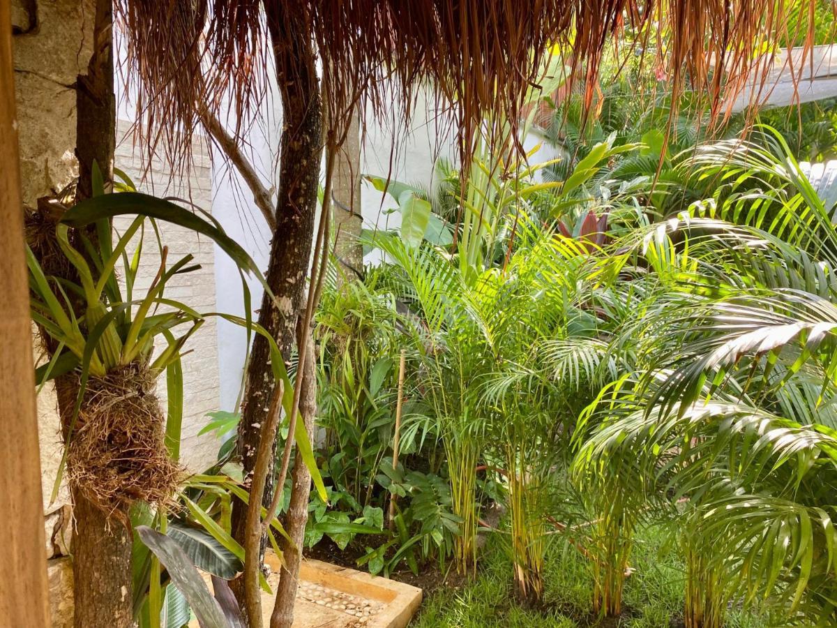 Luxury Private Villas , Private Pool, Private Garden, Jacuzzi, 24Hours Security Tulum Exteriör bild
