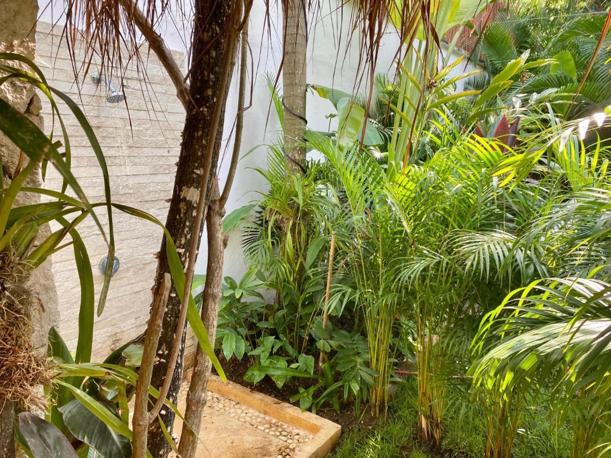 Luxury Private Villas , Private Pool, Private Garden, Jacuzzi, 24Hours Security Tulum Exteriör bild